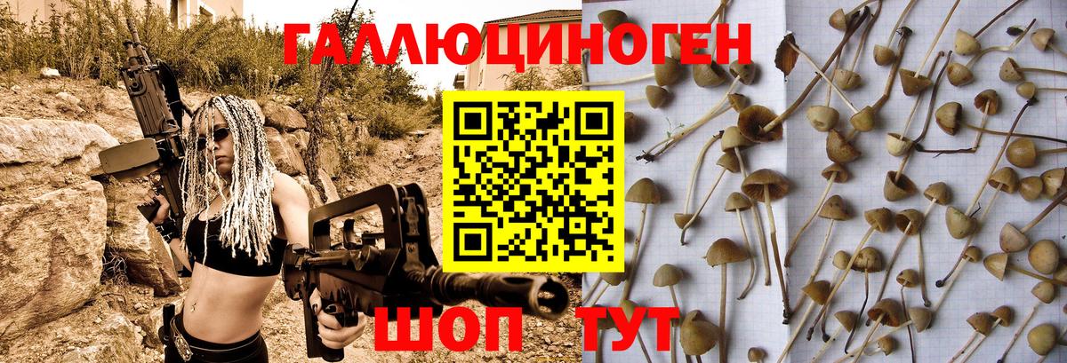 Галлюциногенные грибы Cubensis  Вход с VPN  наркота  Бутурлиновка 